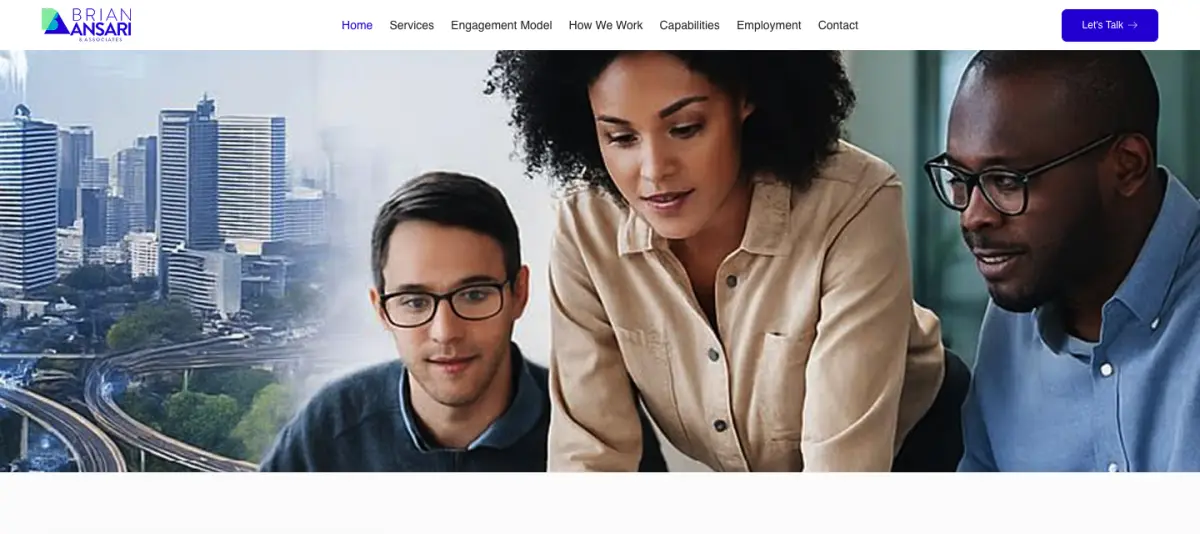 Brian Ansari & Associates — consulting website project